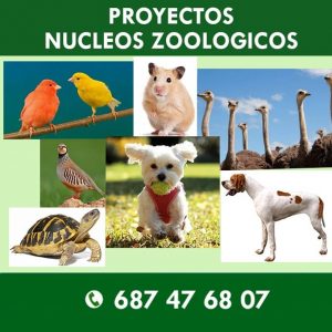 nucleos-zoologicos-insta2