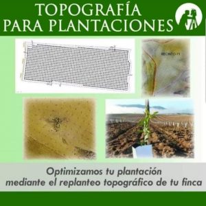 topografia plantaciones