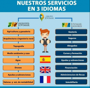 nuestros servicios en 3 idiomas insta