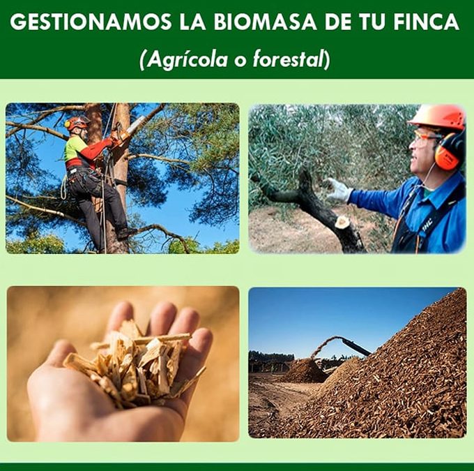 En INGENIERIA JOVIMAR realizamos la gestion integral de la biomasa de tu finca( forestal o agricola).