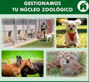 núcleo zoológico