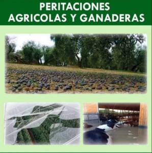 peritaciones agricolas