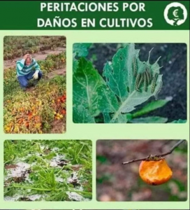 peritaciones de daños en cultivos