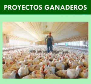 proyecto ganadero