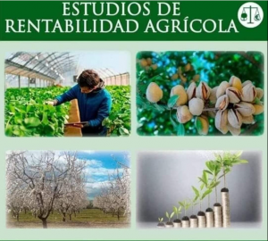 rentabilidad agrícola