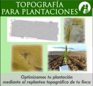 topografia plantaciones