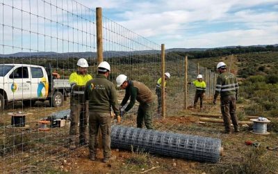 TRABAJAMOS EL TERRITORIO. LO PROYECTAMOS Y LO HACEMOS REALIDAD.
