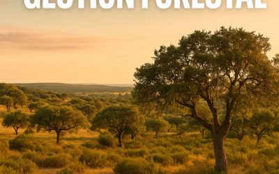 ¿TIENES UNA FINCA FORESTAL O AGRÍCOLA MARGINAL?