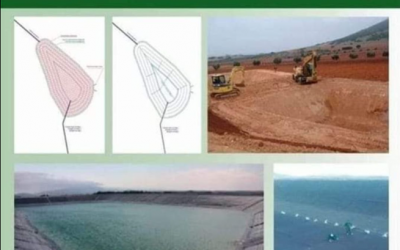 Balsas de riego: Proyectos