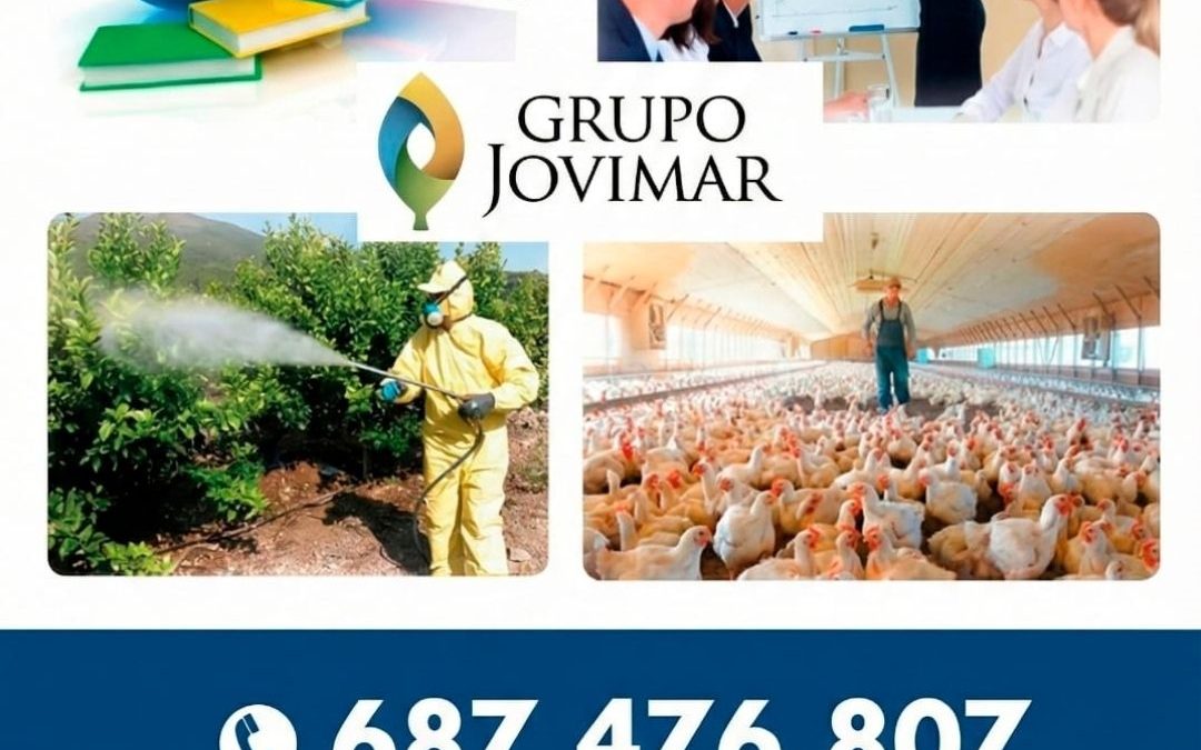 FORMACIÓN BONIFICADA PARA EMPRESAS