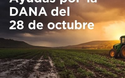 ¡SE AMPLÍA EL PLAZO! HASTA EL 4 DE JULIO – AYUDAS DE HASTA 42.000 € POR LA DANA DEL 28 DE OCTUBRE