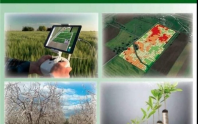 ESTUDIA TU CULTIVO, ASEGURA TU RENTABILIDAD