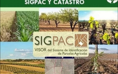 GESTIONAMOS EL CAMBIO DE USO: SIGPAC Y CATASTRO