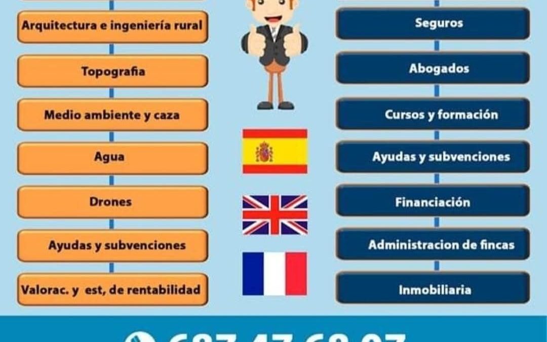 ¡TODOS NUESTROS SERVICIOS, AHORA EN 3 IDIOMAS!