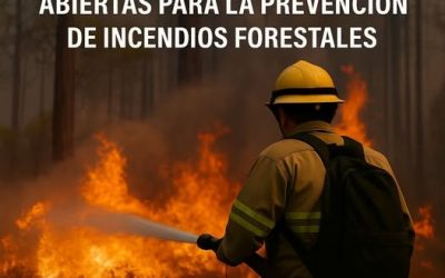 SE ABREN LAS AYUDAS PARA PREVENCIÓN DE INCENDIOS FORESTALES EN ANDALUCÍA