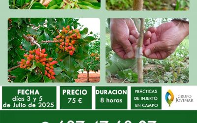 CURSO DE INJERTO EN ALMENDRO Y FRUTALES