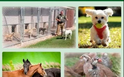 PROYECTOS: NÚCLEOS ZOOLÓGICOS LLAVE EN MANO