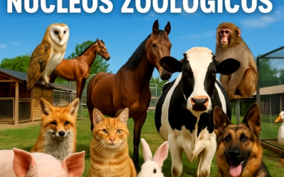 NÚCLEOS ZOOLÓGICOS