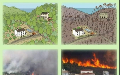 REALIZAMOS PLANES DE AUTOPROTECCIÓN POR INCENDIOS FORESTALES