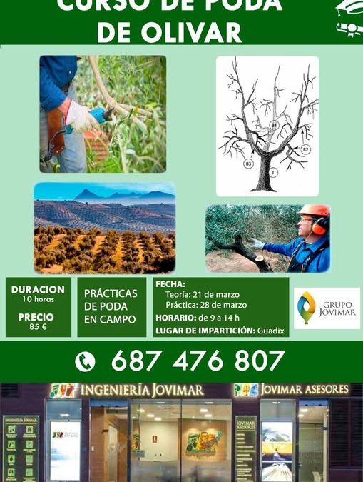 CURSO DE PODA DE OLIVO