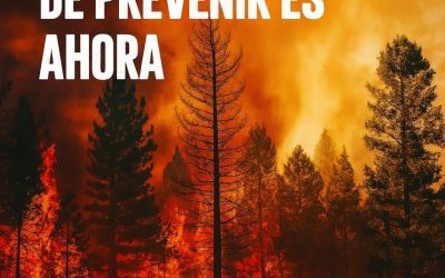 NO ESPERES A VER HUMO: EL MOMENTO DE PREVENIR ES AHORA