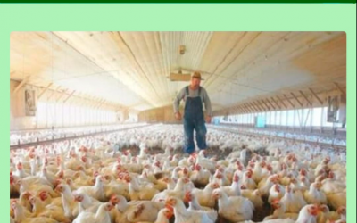 Gestionamos tu proyecto ganadero