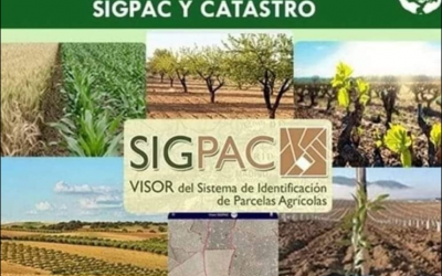 GESTIONAMOS EL CAMBIO DE USO: SIGPAC Y CATASTRO