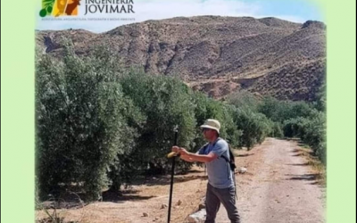 Georreferenciación para Catastro y Registro de Propiedad