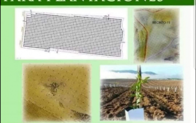 MARCAMOS TU PLANTACION: TOPOGRAFÍA