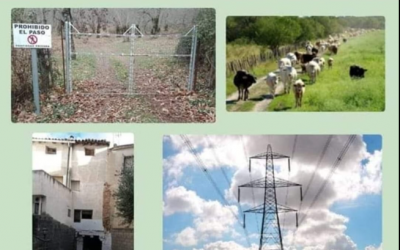 GESTIONAMOS LOS TRAMITES DE SERVIDUMBRES